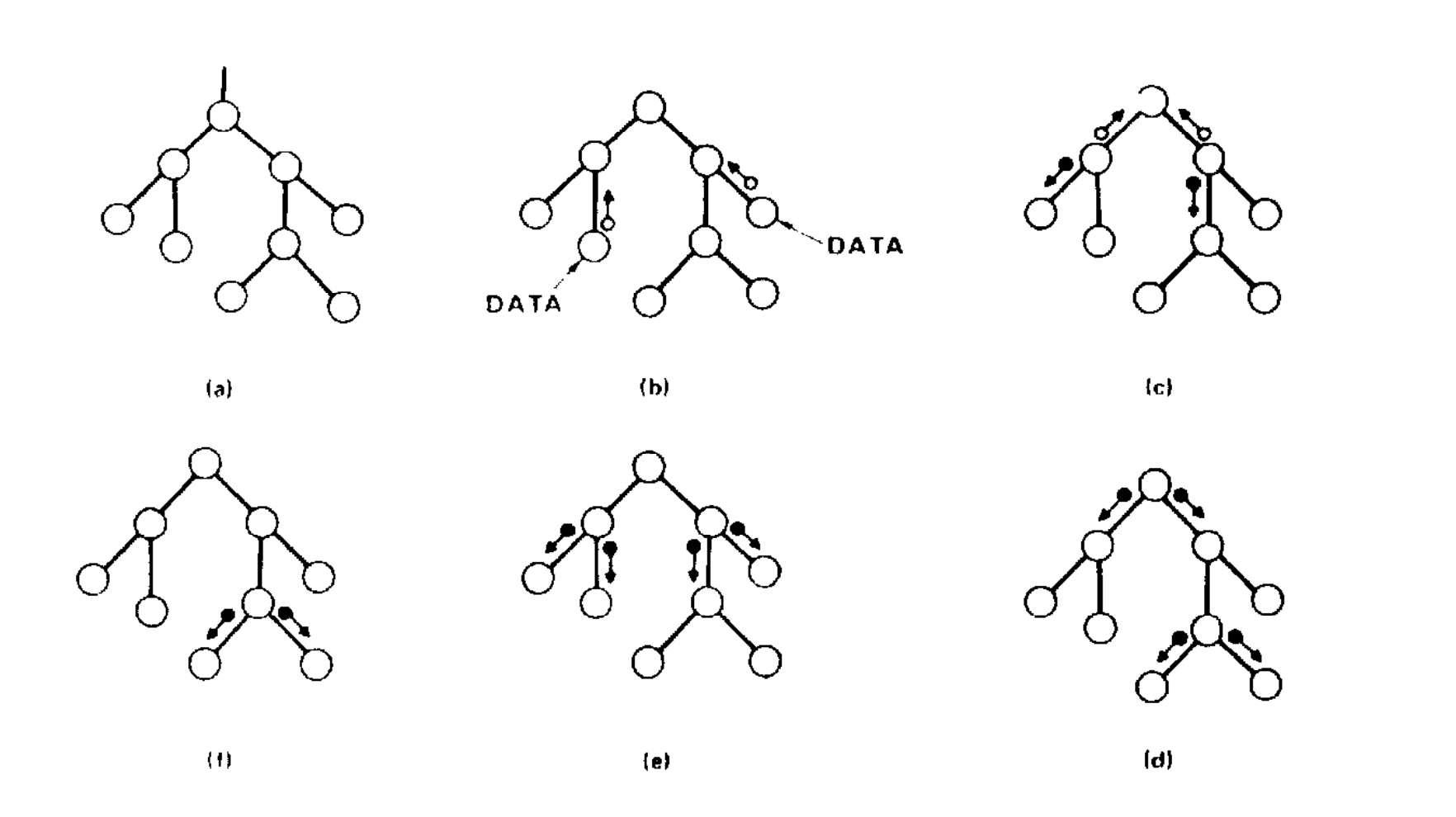 A directed acyclic graph representing a Bayesian network
